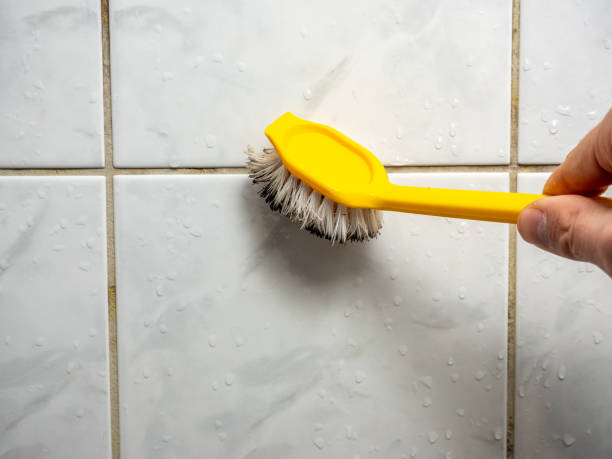 Best Professional Mold Removal  in Poseyville, IN