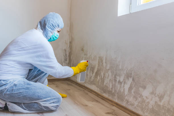Certified Mold Removal in Poseyville, IN