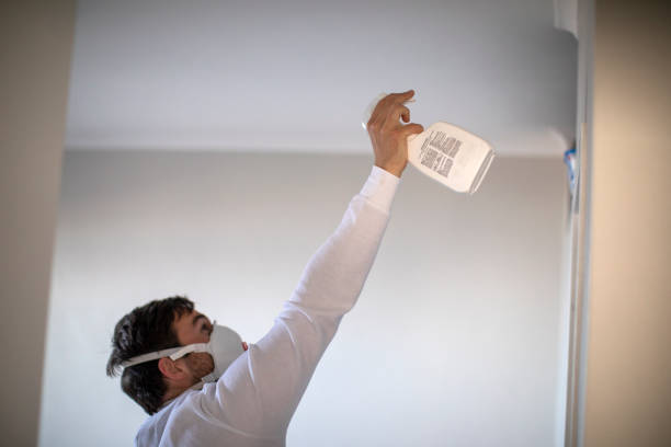 Best Same-Day Mold Removal  in Poseyville, IN
