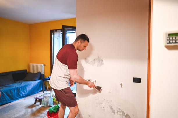 Best Fast Mold Removal  in Poseyville, IN